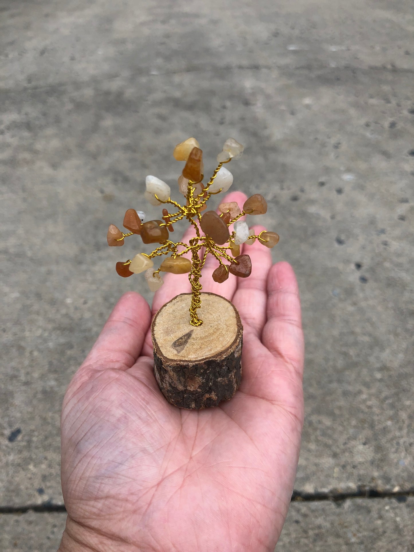 Small Carnelian Tree