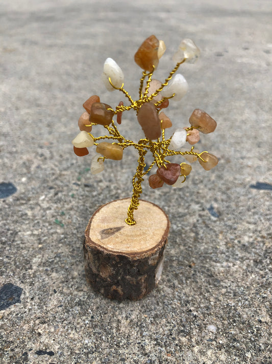 Small Carnelian Tree